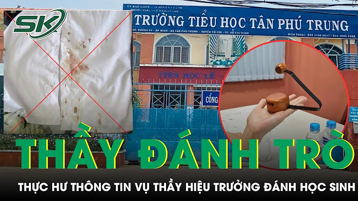 Thông tư 20 về đánh giá học sinh tiểu học năm 2024