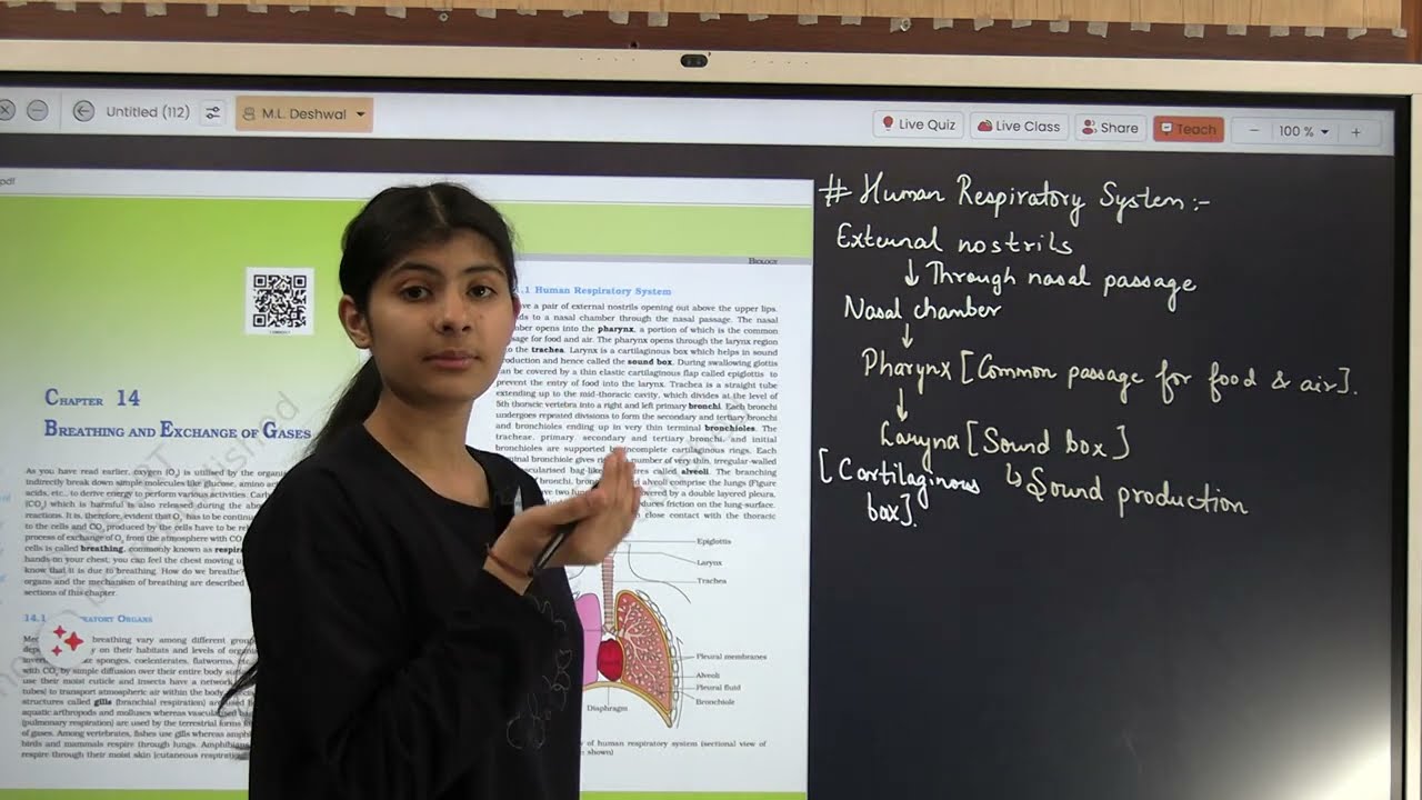 Respiration and breathing of gases
