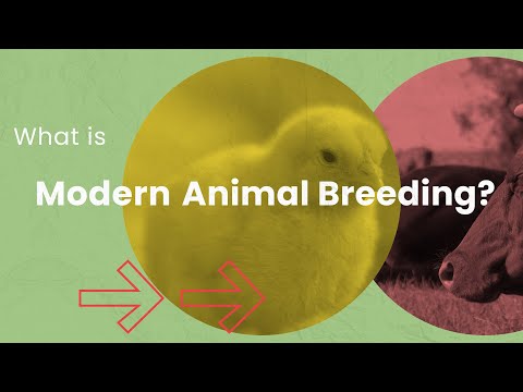 Video: Prečo sú bezpečnostné pravidlá dôležité pre chovateľov zvierat?