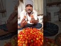 தக்காளி ஒரு கிலோ 100 😂 #தக்காளி #tomato #thakkali #09537 #09537 #09537