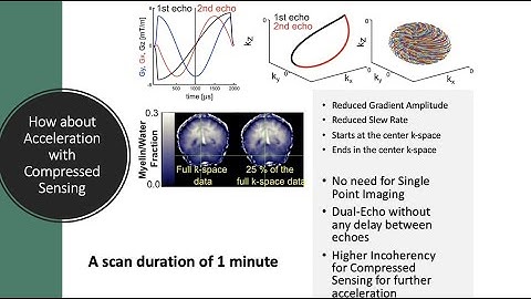 Myelin Imaging Using 3D Dual-echo Ultra-short Echo Time MRI with Rosette k-Space Pattern