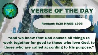 Verse of the Day (Romans 8:28 NASB 1995) #church #sunday