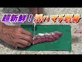 釣れたハマチを釣り場で捌いて食うぞ！【おもしろクッキング第二回】