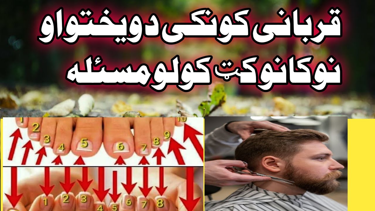 Qurbani se pehle baal katna Qurbani se pehle nakhun katna chahiye ya