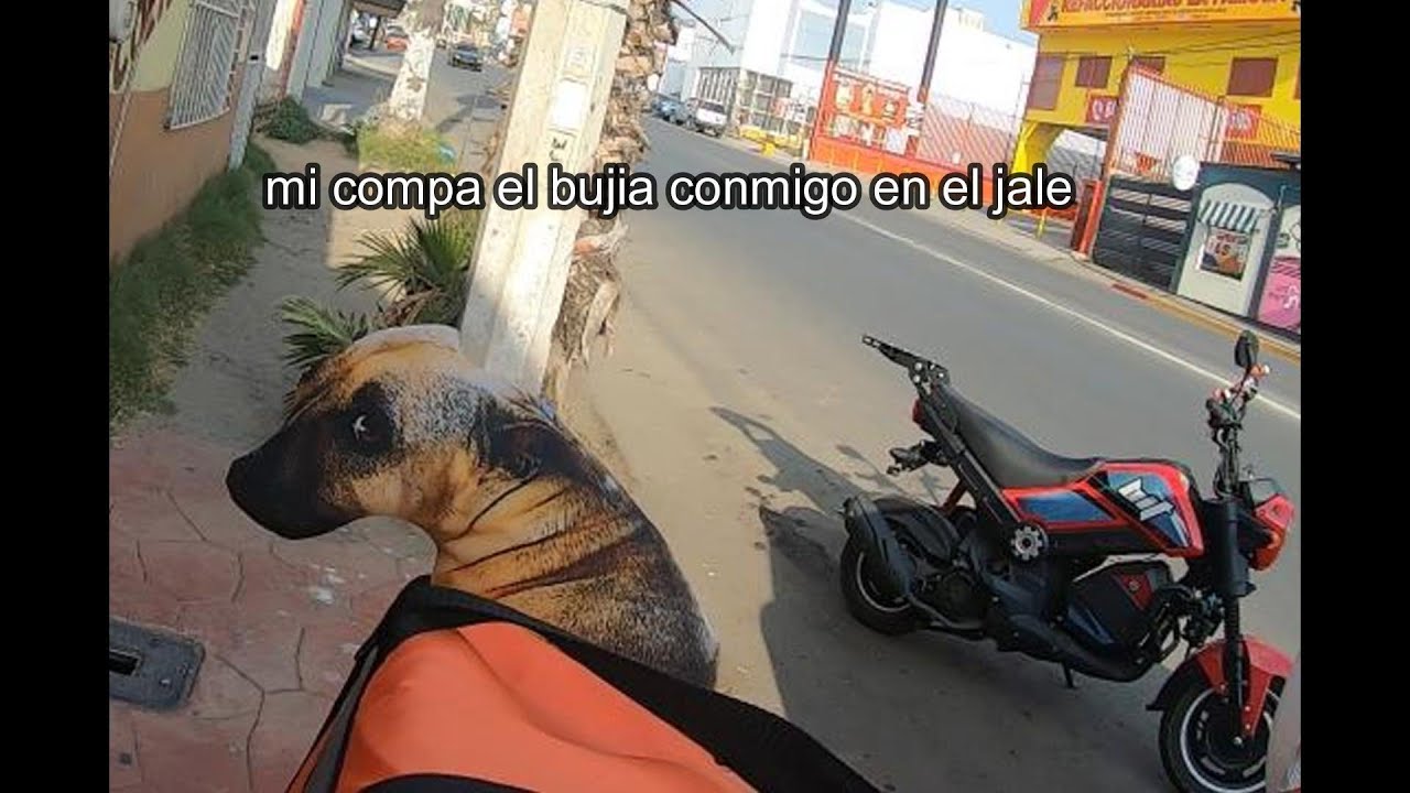 DIDI FOOD: REPARTIENDO EN LA ITALIKA BIT 150