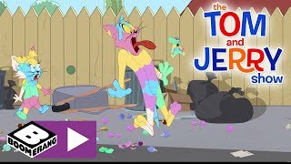 The Tom and Jerry Show | Sticky Perfume Tornado | Boomerang UK screenshot 5