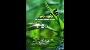 اجمل تلاوات القران الكريم #اكسبلور #المصحف #لايك #الرحمن #راحة_نفسية #القزابري