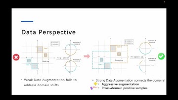 KDD 2025 - Connecting Domains and Contrasting Samples: A Ladder for Domain Generalization