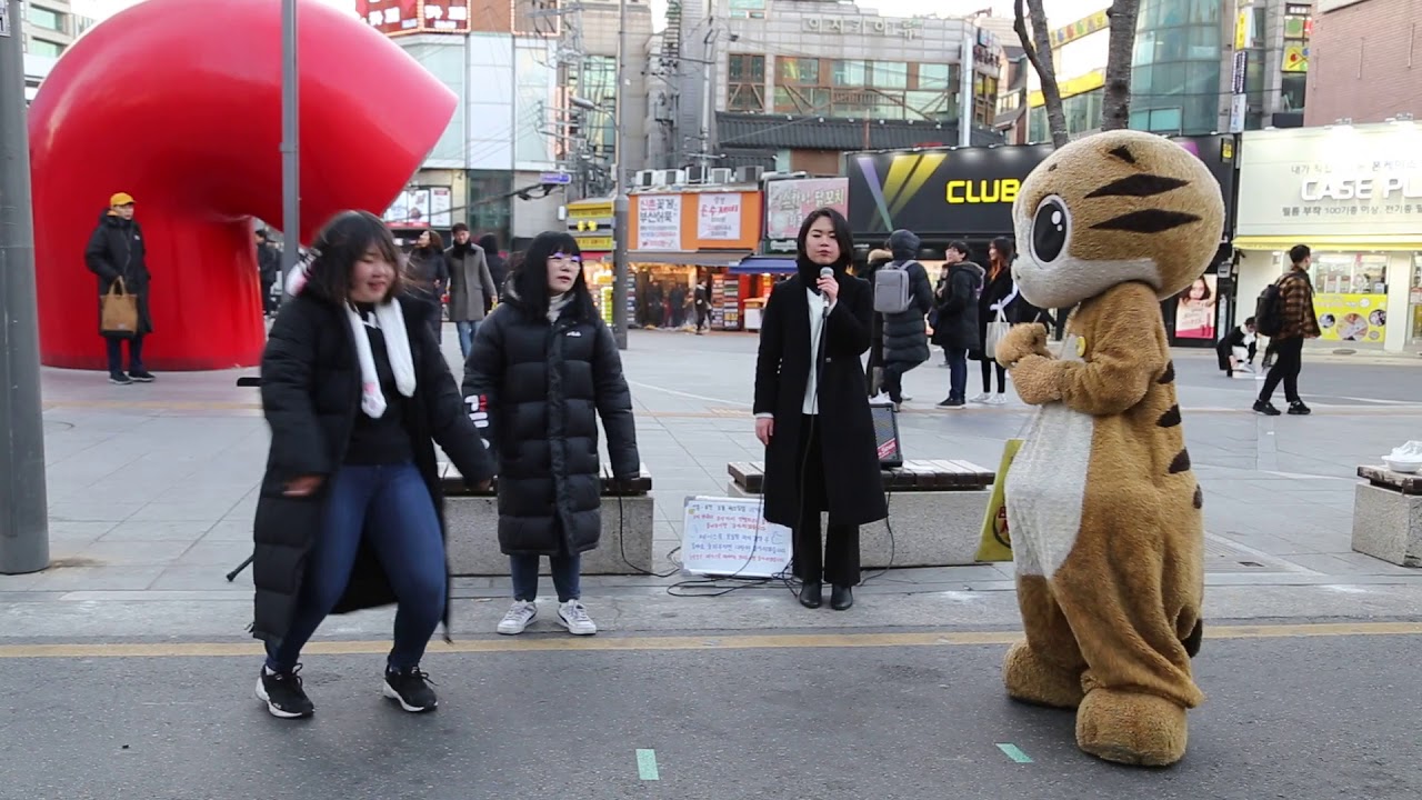 JHKTV]신촌 명물고양이와보컬 special cat dance & vocal
