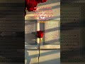 لااله الا الله محمد رسول الله قران كريم راحة نفسية الجنة غايتى اكسبلور ياالله تصميمي صدقة حب 