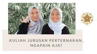 NGOBROL SERU SEPUTAR JURUSAN ( PETERNAKAN UGM )