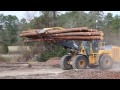 How a Tree Becomes a Utility Pole