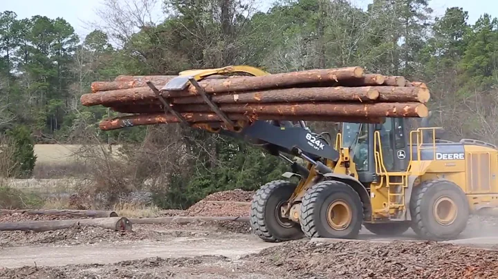 How a Tree Becomes a Utility Pole