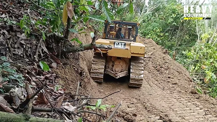 Caterpillar D6R XL Bulldozer Operator Perfectly Works Opening New Roads in the plantation