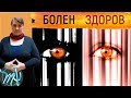 7 признаков психического здоровья // Психические расстройства