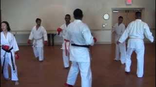 Sensei Deddy Mansyur s joint training , San jacinto College and Rice University at Rice University