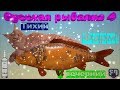 Русская Рыбалка 4   *Тихий и вечерний фарм! - 35*