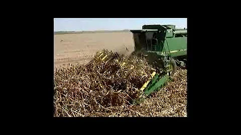 Corn Lifters Attachment by Roll-A-Cone - Harvesting Downed Corn