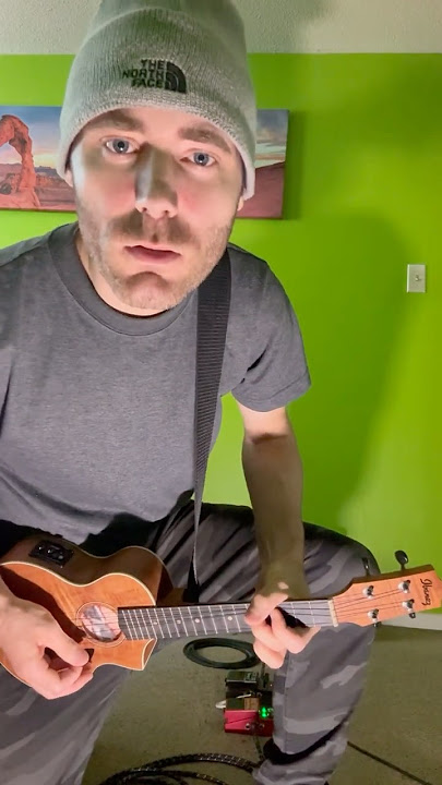1960 Chevy Van #ukulele #music #youtubeshorts #1960s #solo #new #love #comedy #viral #guitar #funny