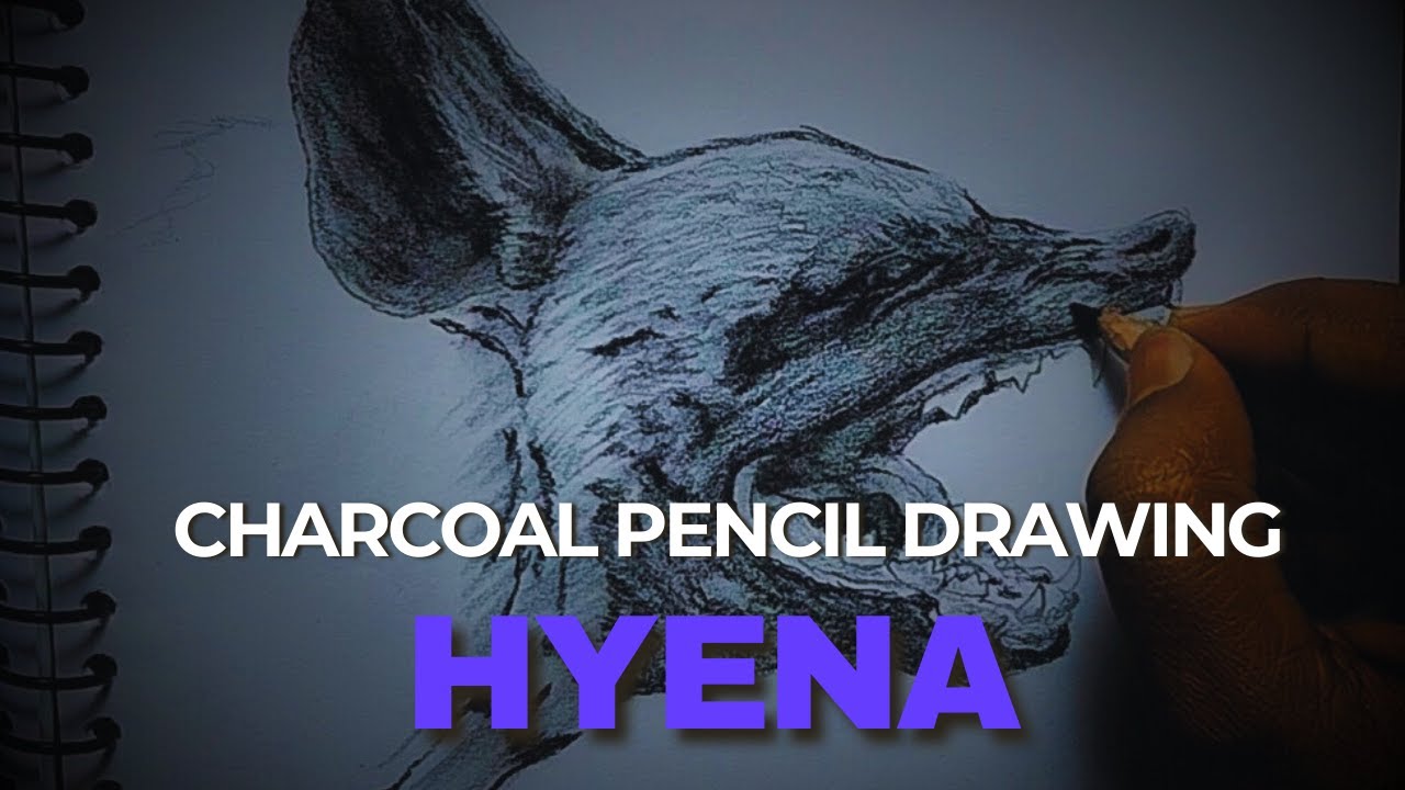 Charcoal pencil drawing of a "Hyena" with realistic touch, 