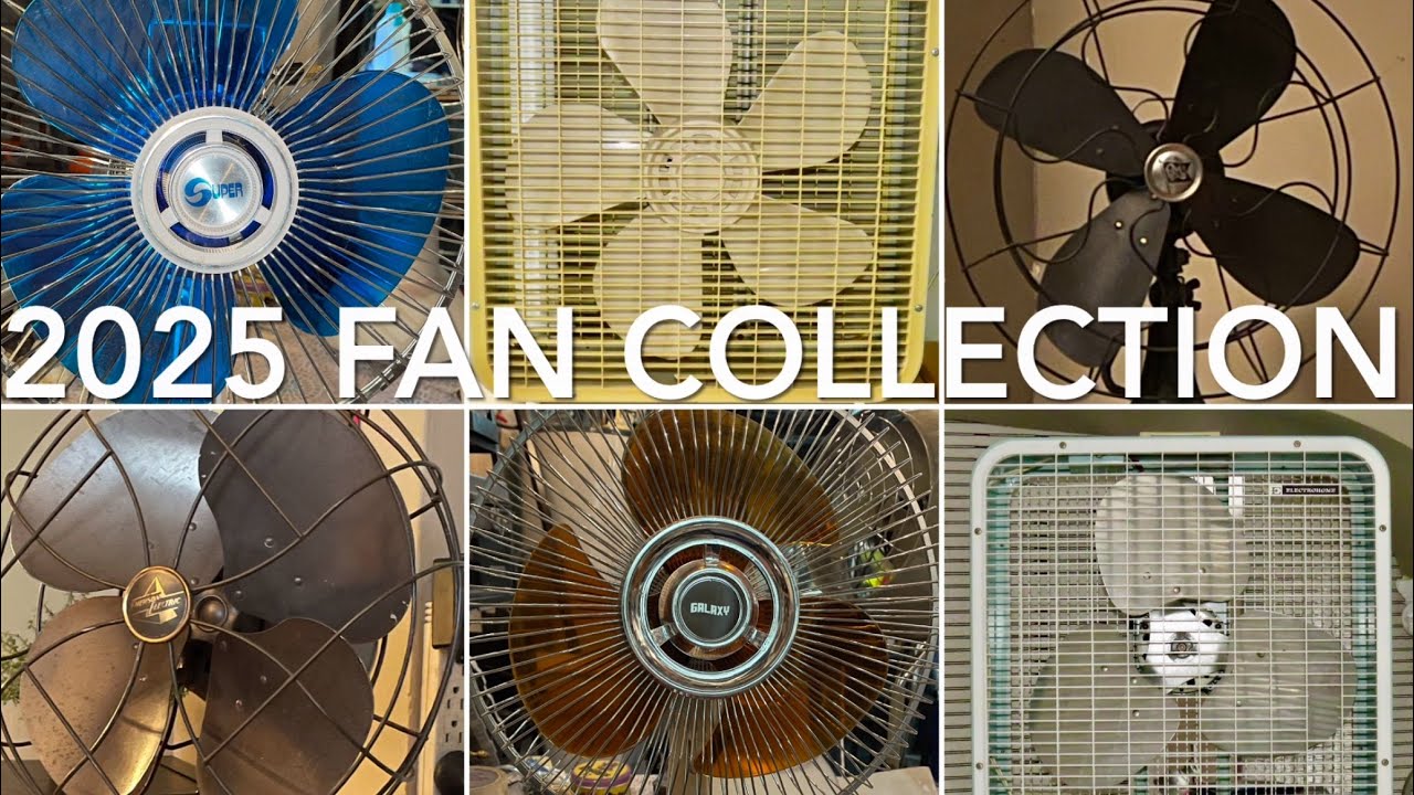 2025 Fan Collection!