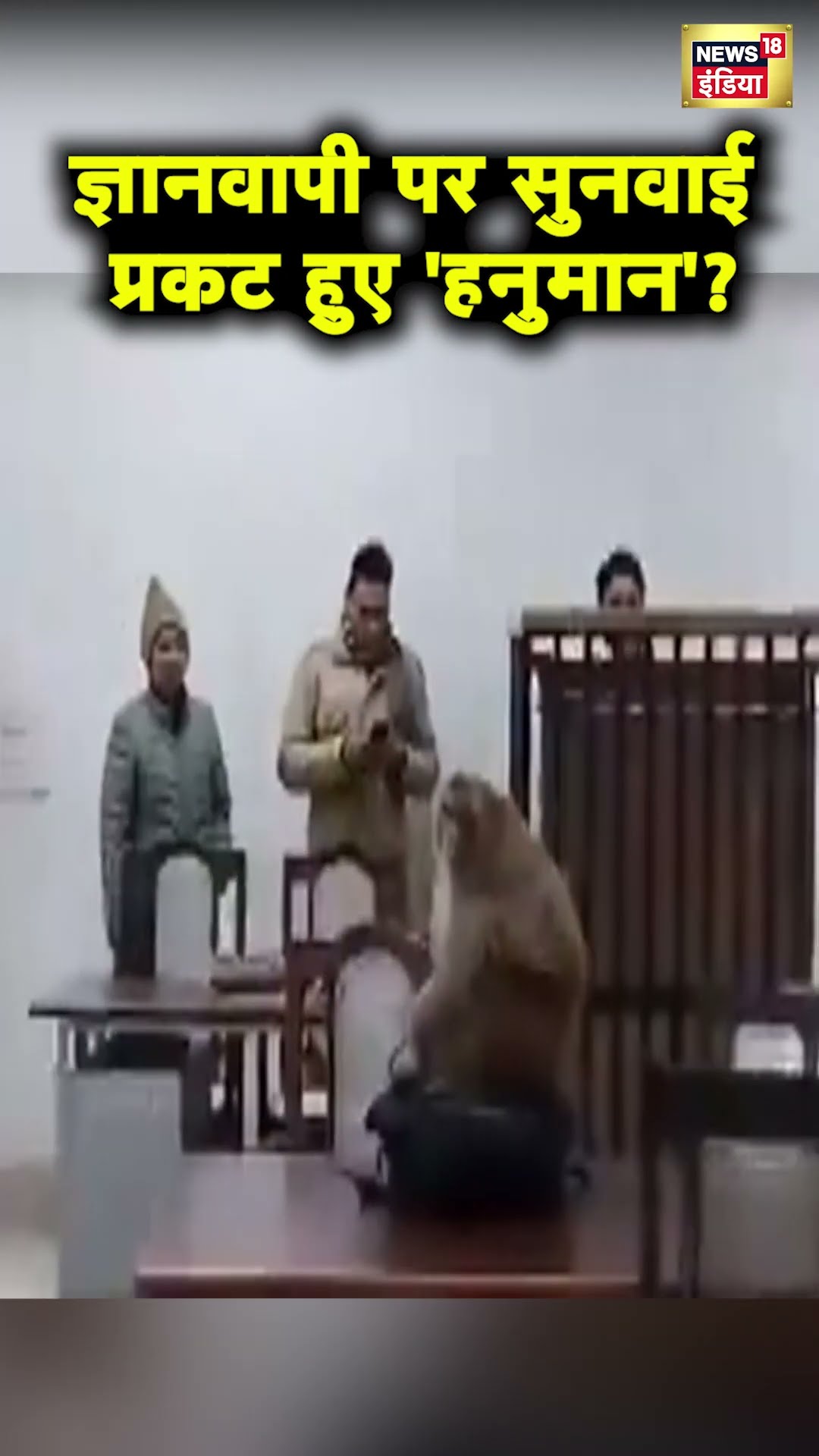 Varanasi की District Court में Gyanvapi केस की सुनवाई के दौरान पहुँचा बंदर | Kashi Vishwanath | N18S