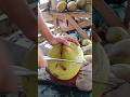 Simple cutting of young coconut 🥥🌴#coconut#asmr#satisfying#oddlysatisfying#foodprocess #fruit