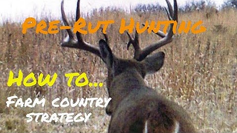 Pre-Rut Whitetail Strategy : How To Hunt The Pre-Rut in Open Farm Country
