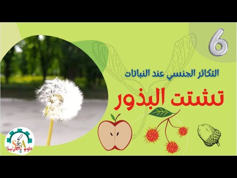 فيديو: من تساعد الحيوانات في نثر البذور؟