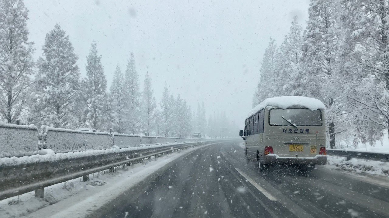 Every tree becomes a Christmas tree1. - Roadscapes of Snow White Korea (Relaxing Drive Sounds 4K)