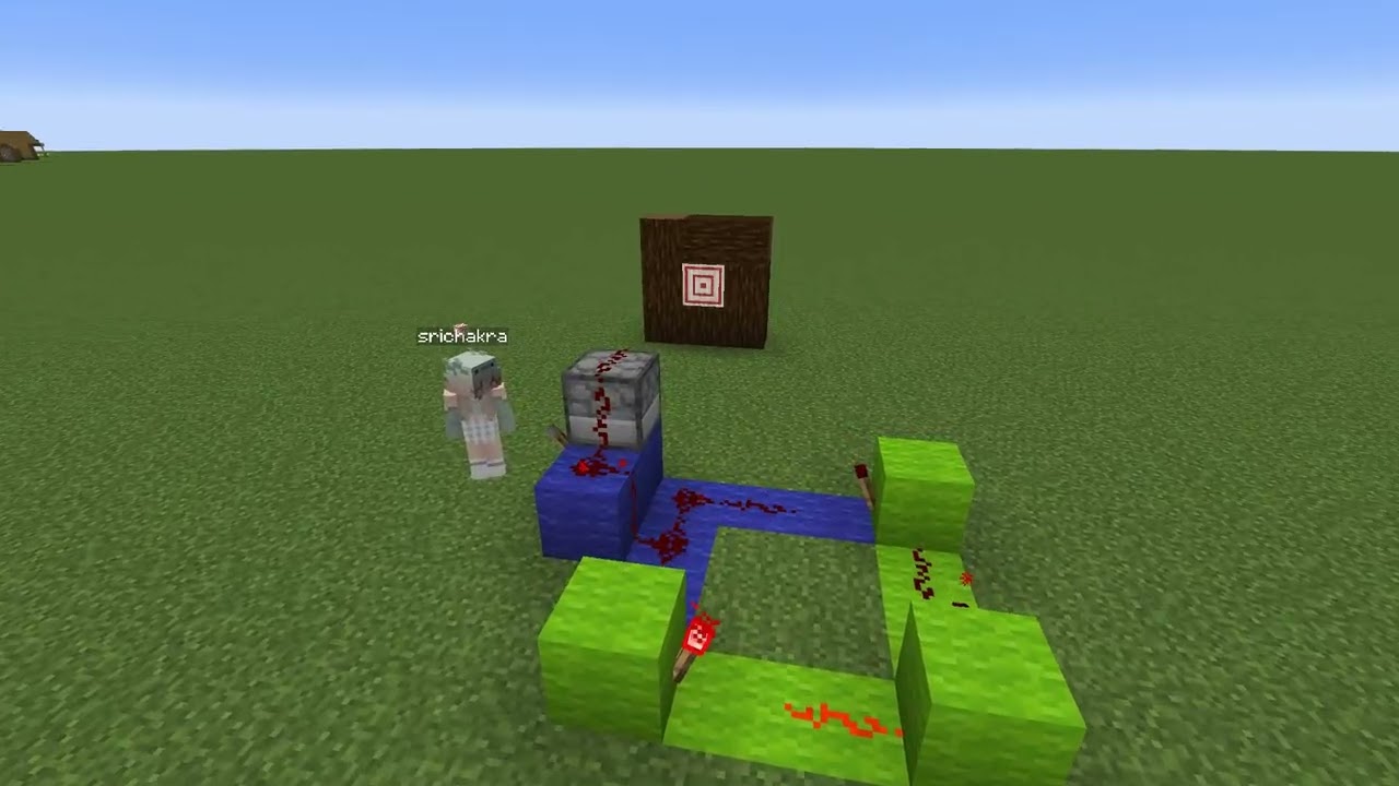 Timed Auto Dispenser