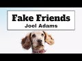 Joel Adams - Fake Friends (Lyrics) | Panda Music