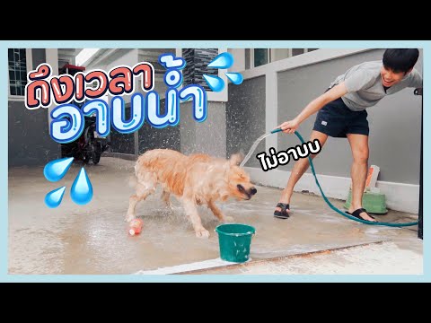 ไม่ได้อาบน้ำเกือบเดือน ถึงเวลาจับบอยอาบน้ำ!!! | บอย ไดอารี่ EP.5