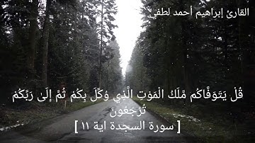 سورة السجدة كاملة للقارئ إبراهيم أحمد لطفي
