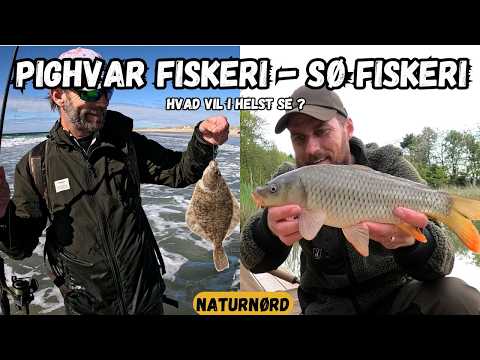 PIGHVAR VS. KARPE FISKERI !!!!! // NATURNØRD 731