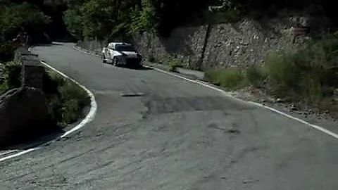 IRC Yalta Rally 2011 SS8