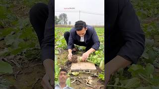 lifeisbutadream automobile viral ian Hahaha  shorts shortsfeed