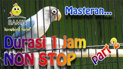 Masteran Lovebird 1 jam nonstop ngekek panjang kusumo ( part 2 ) || BAMIS LOVEBIRD farm  - Durasi: 1:00:14. 