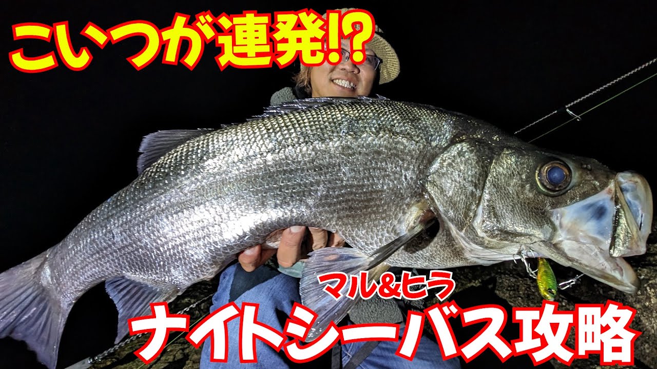今が激アツ！激流ナイトヒラスズキ攻略してデカいの釣ったら竿が折れ