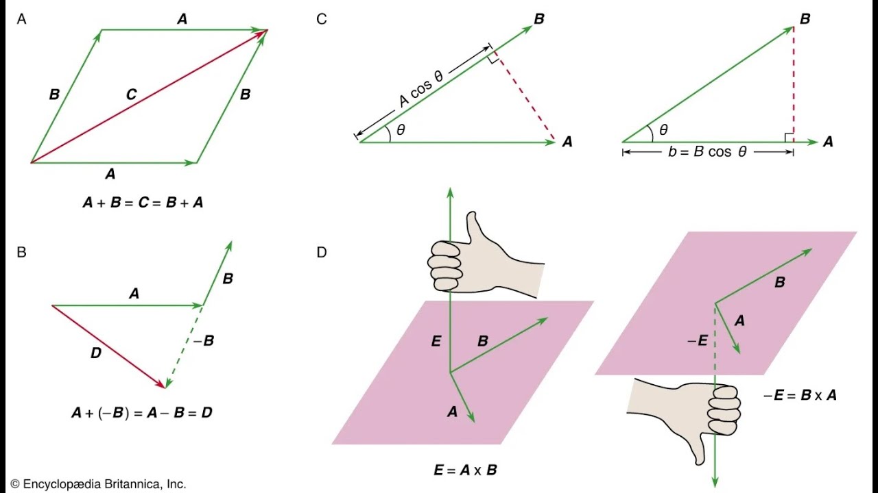 A Quick Review of VECTORS for Introductory Mechanics - YouTube