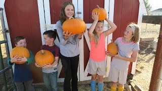 FAMILY PUMPKIN PATCH!