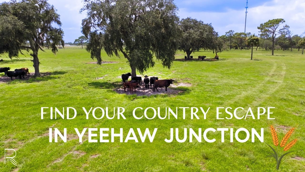 Your 3-Acre Country Escape: Secluded Living with Abundant Wildlife 