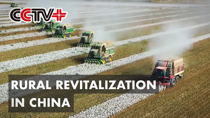 China Deepening Reform, Promoting Modernization to Boost Rural Revitalization - DayDayNews