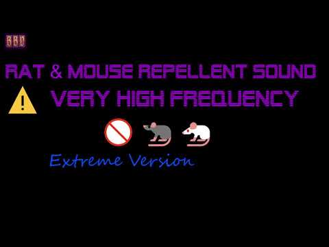 Видео: ⚠️ (Экстремальная версия) Very Звук репеллента крысы и мыши, очень высокая частота (9 часов)