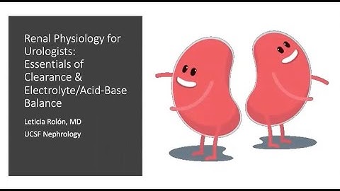 3.16.2021 Urology COViD Didactics - Renal Physiology for Urologists