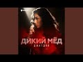 Дикий мёд