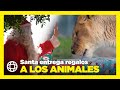 Santa entrega regalos a los animales