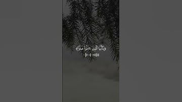 سورة الأحزاب|| القارئ الشيخ بندر بليلة #بندر_بليلة