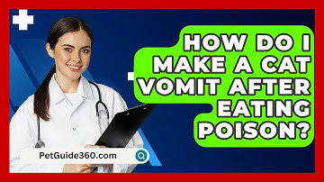 How Do I Make A Cat Vomit After Eating Poison? - PetGuide360.com