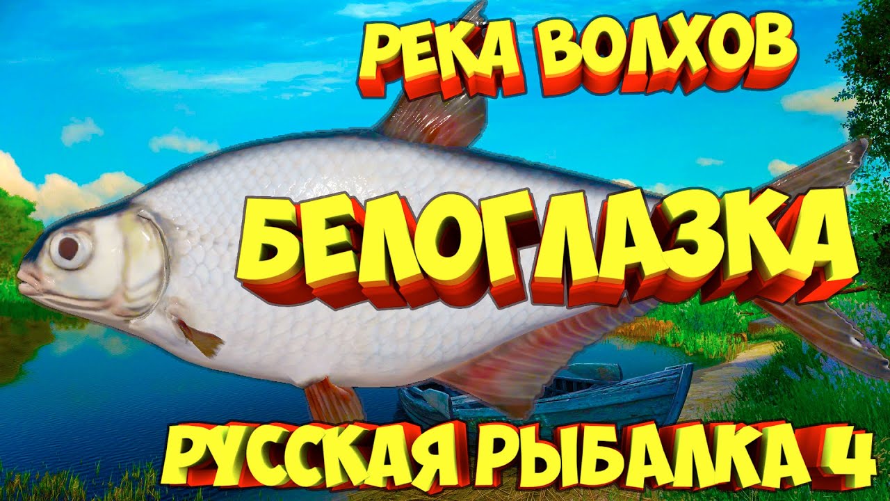 Рр3 белоглазка волга